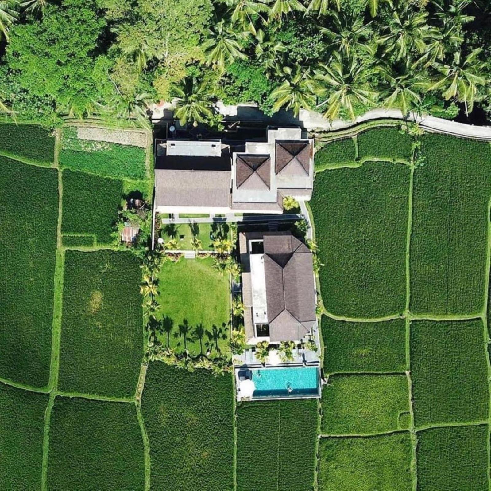 Intan Villa & Suite Ubud view 2