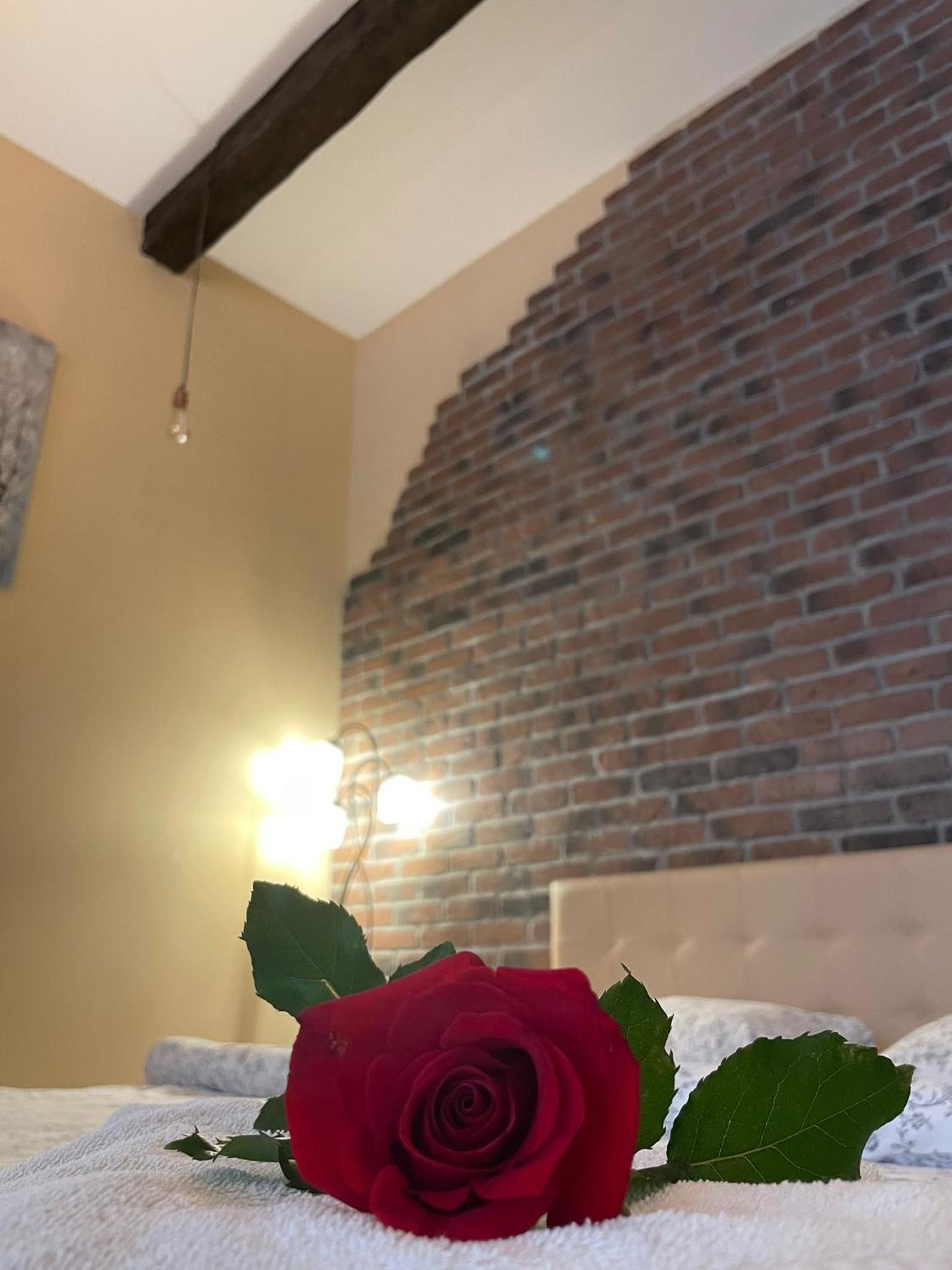 Select City Center Apartments