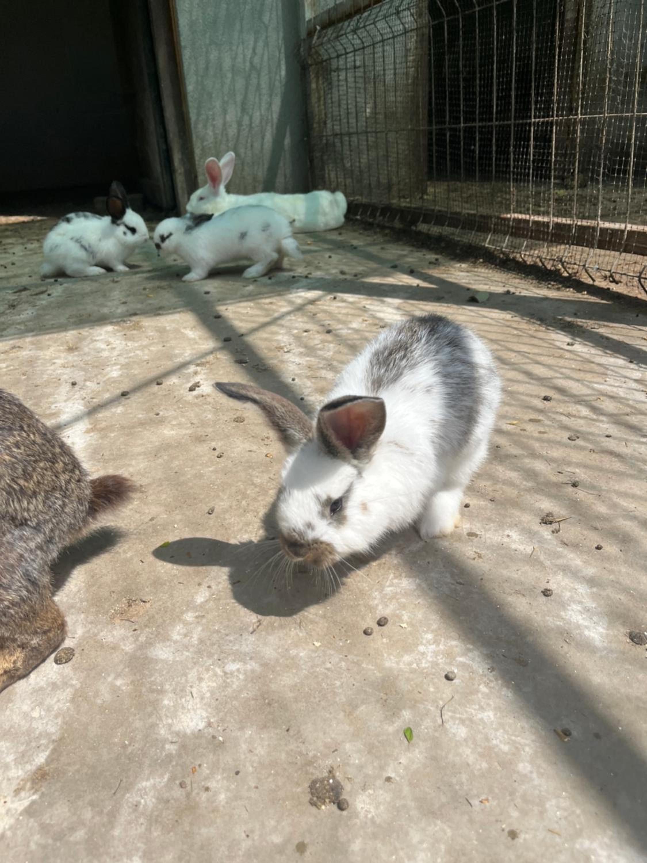 Perryland Urban Farm