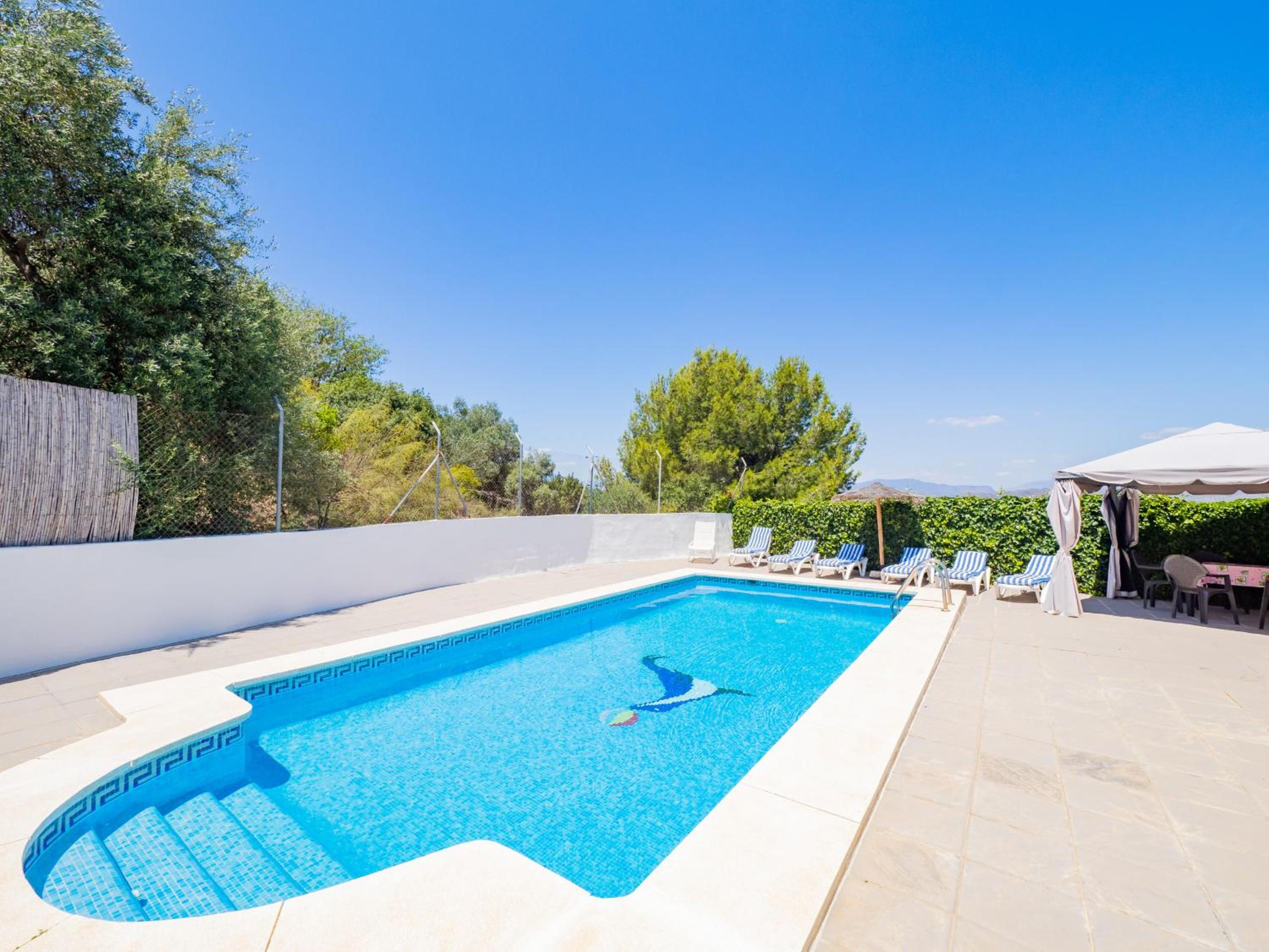 Cubo's Cortijo La Palmera view 4