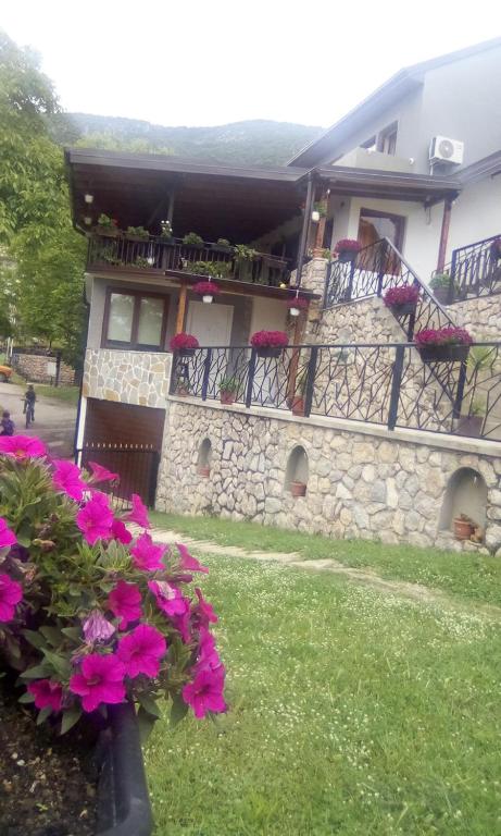 Guest House Stevovski