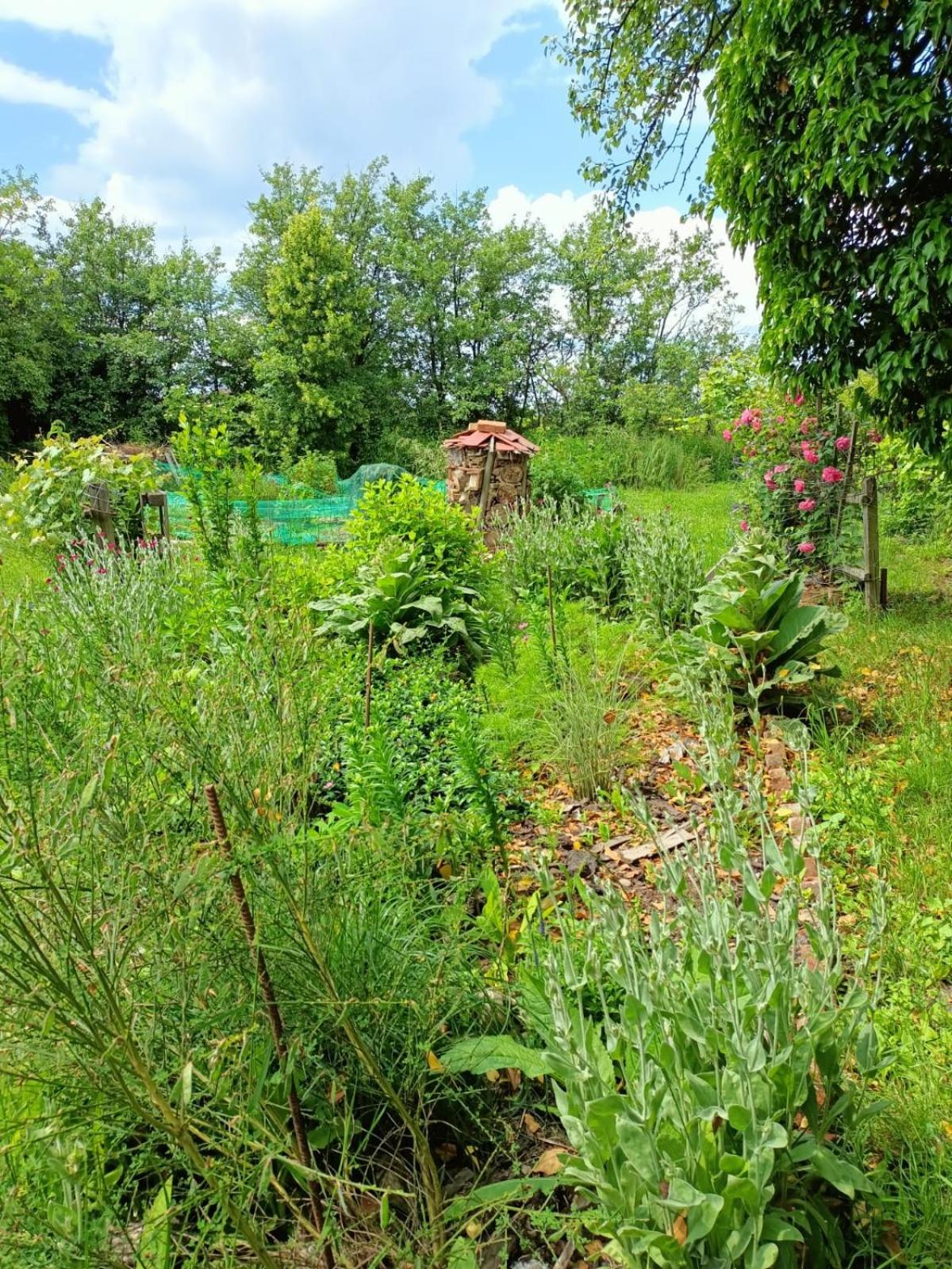 Photo 19