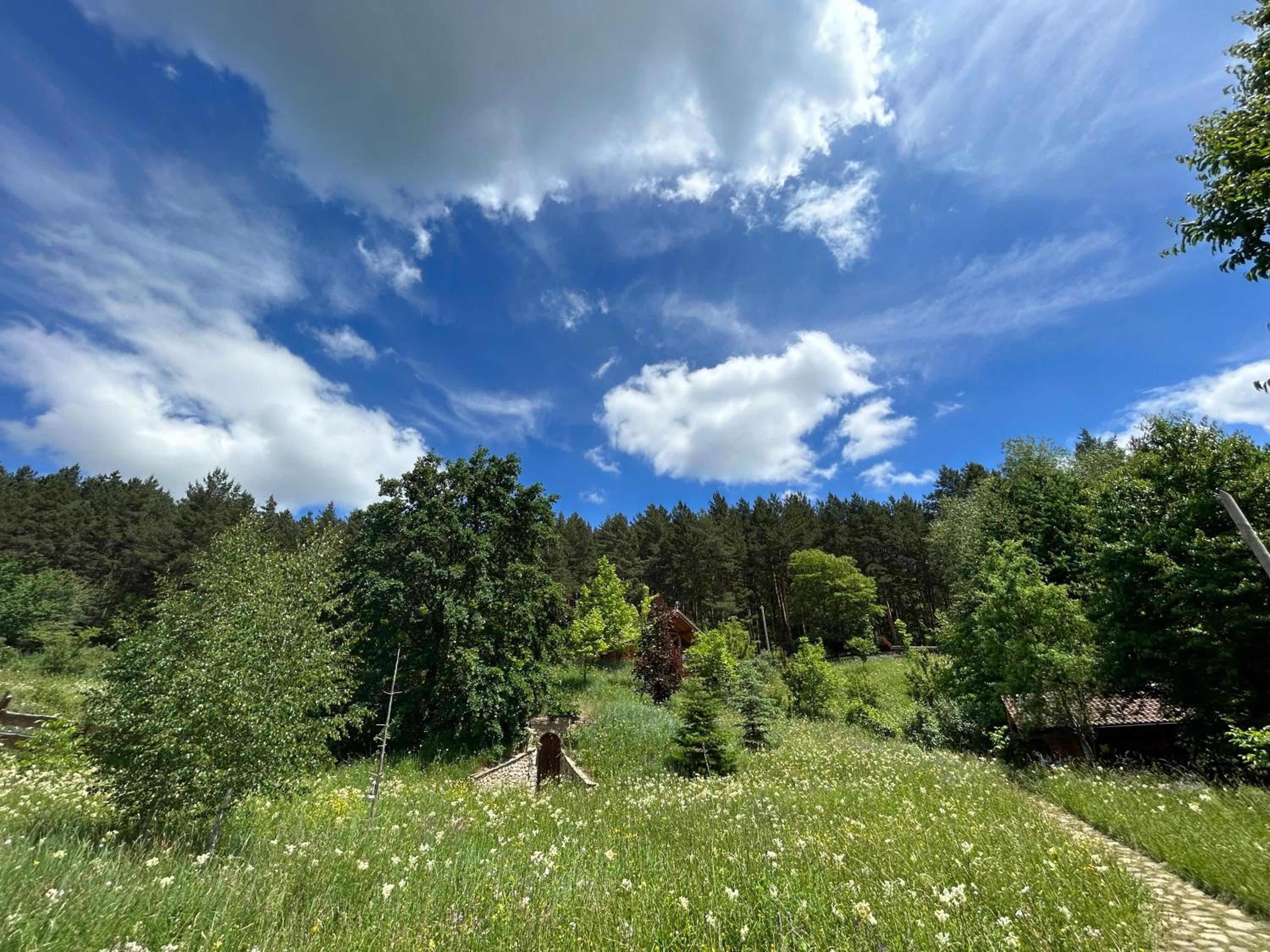 Căsuța din pădure view 2