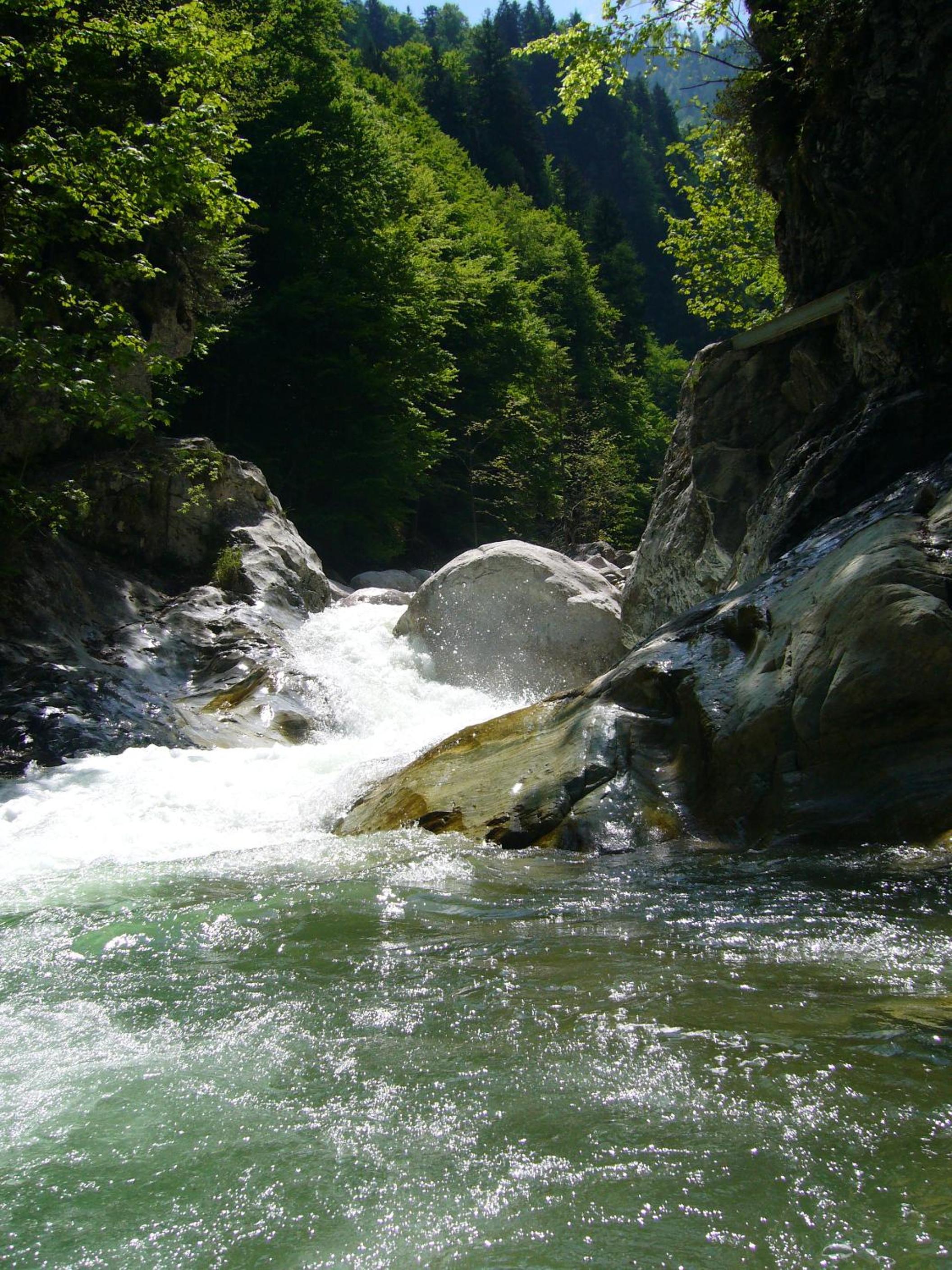 Photo 48