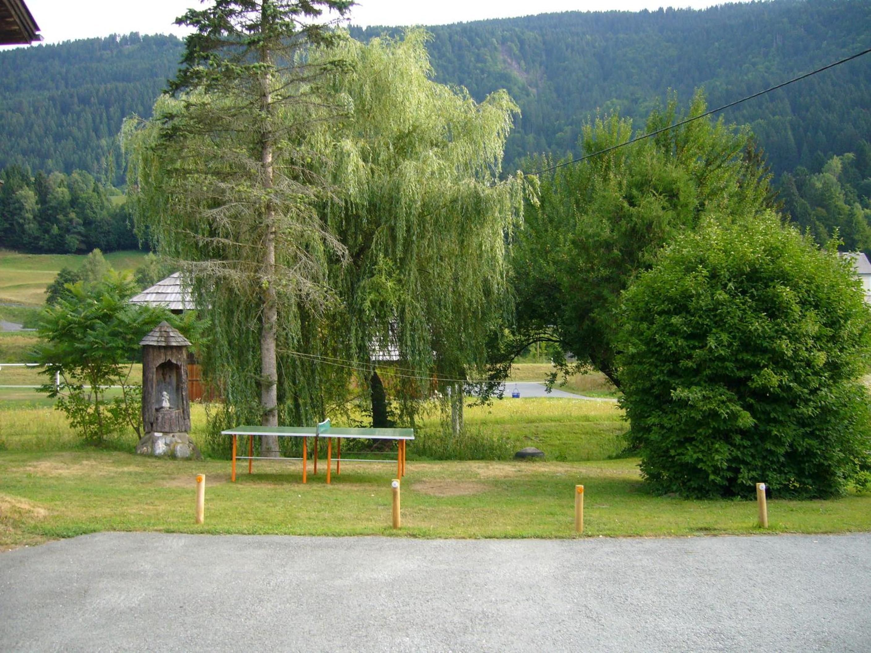 Photo 42