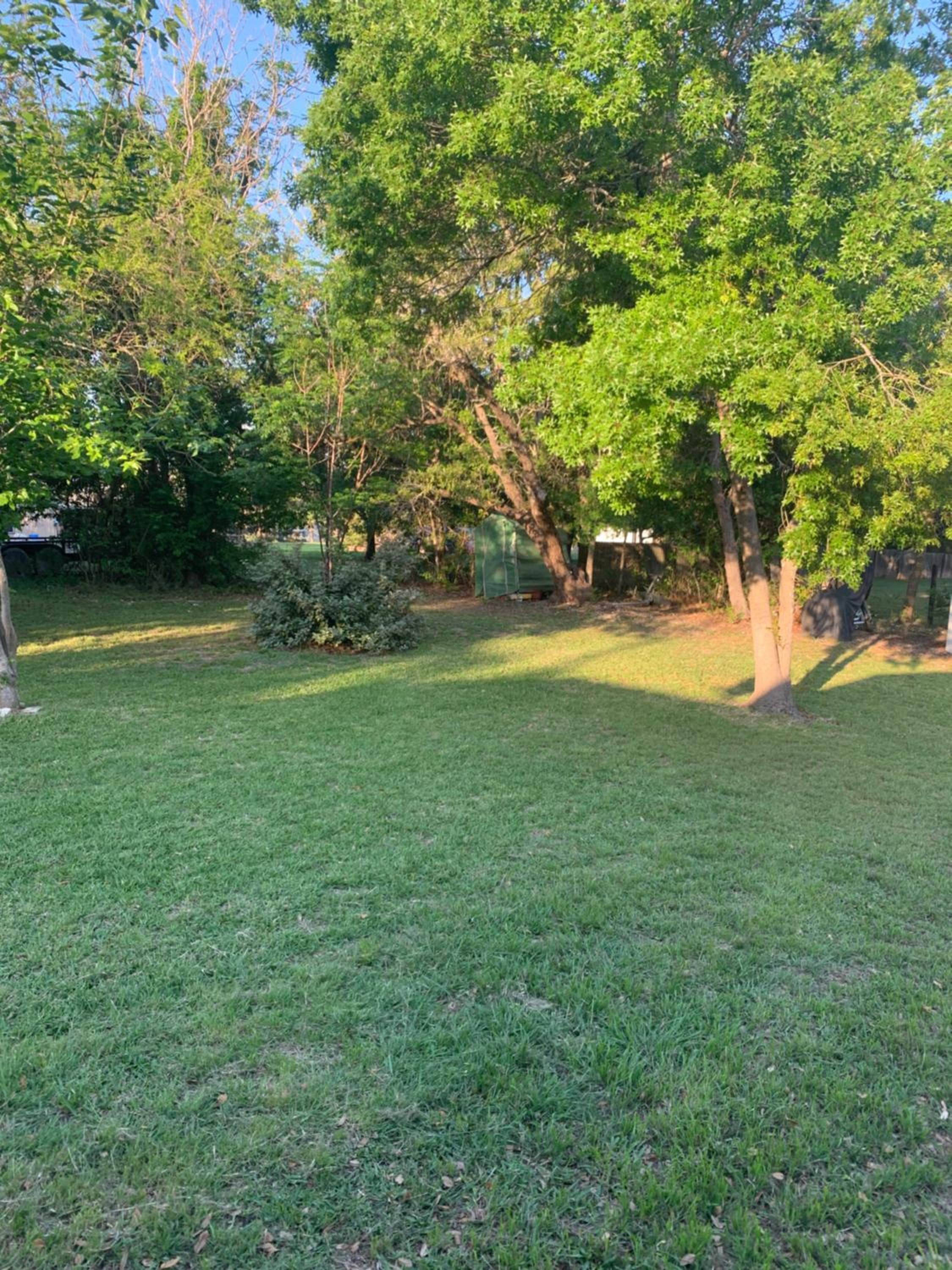 Live Oak Home