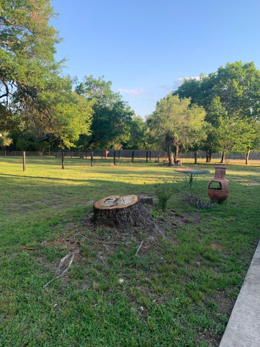 Live Oak Home