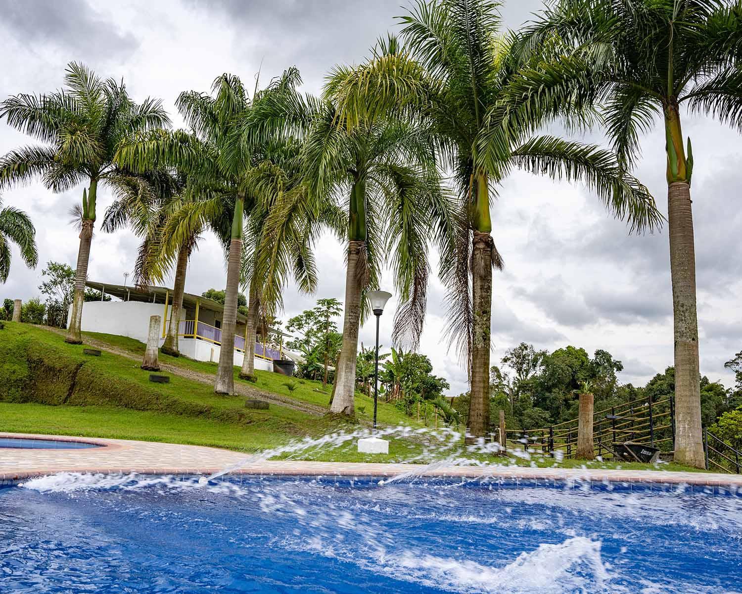 Rancho Chihuahua