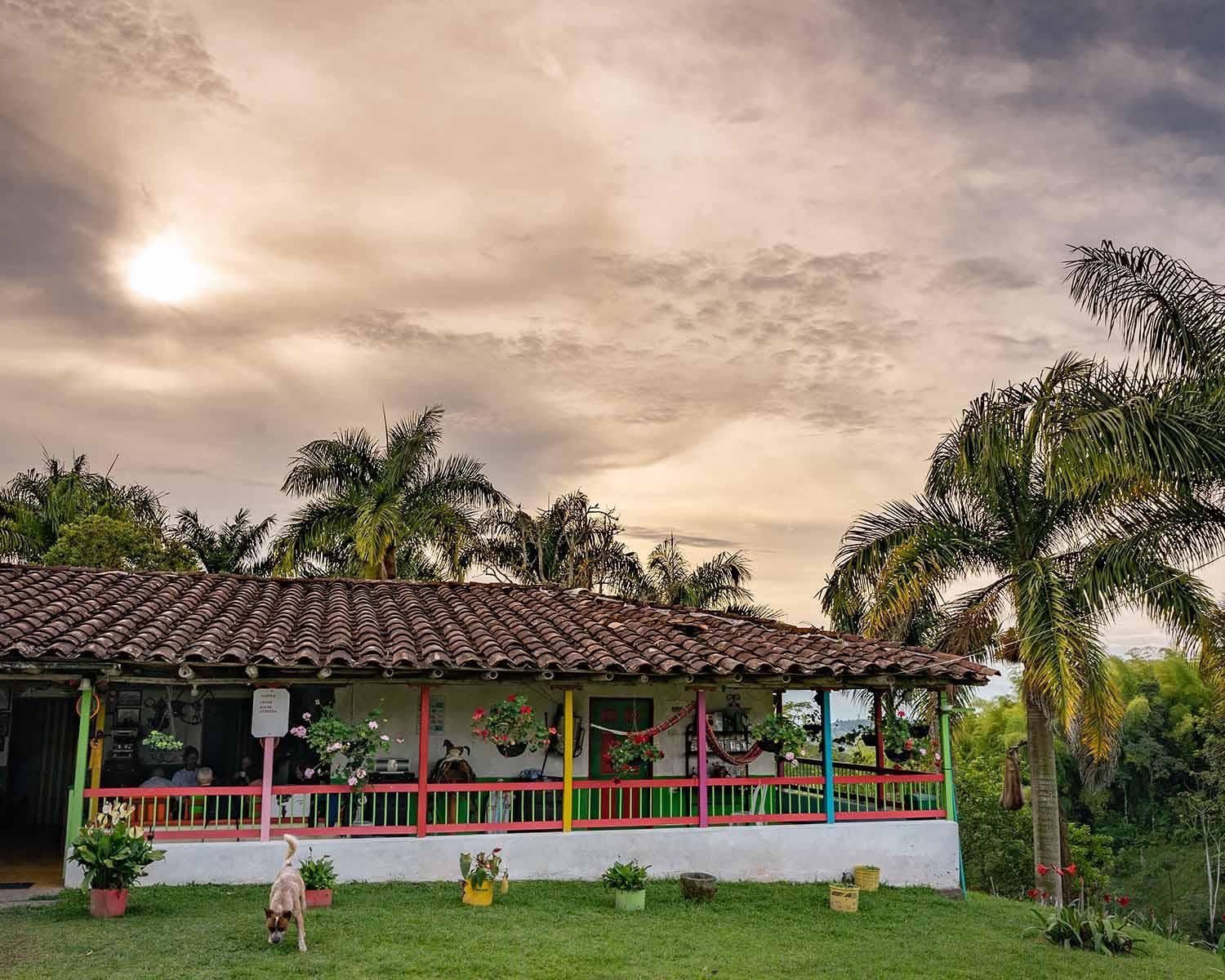 Rancho Chihuahua