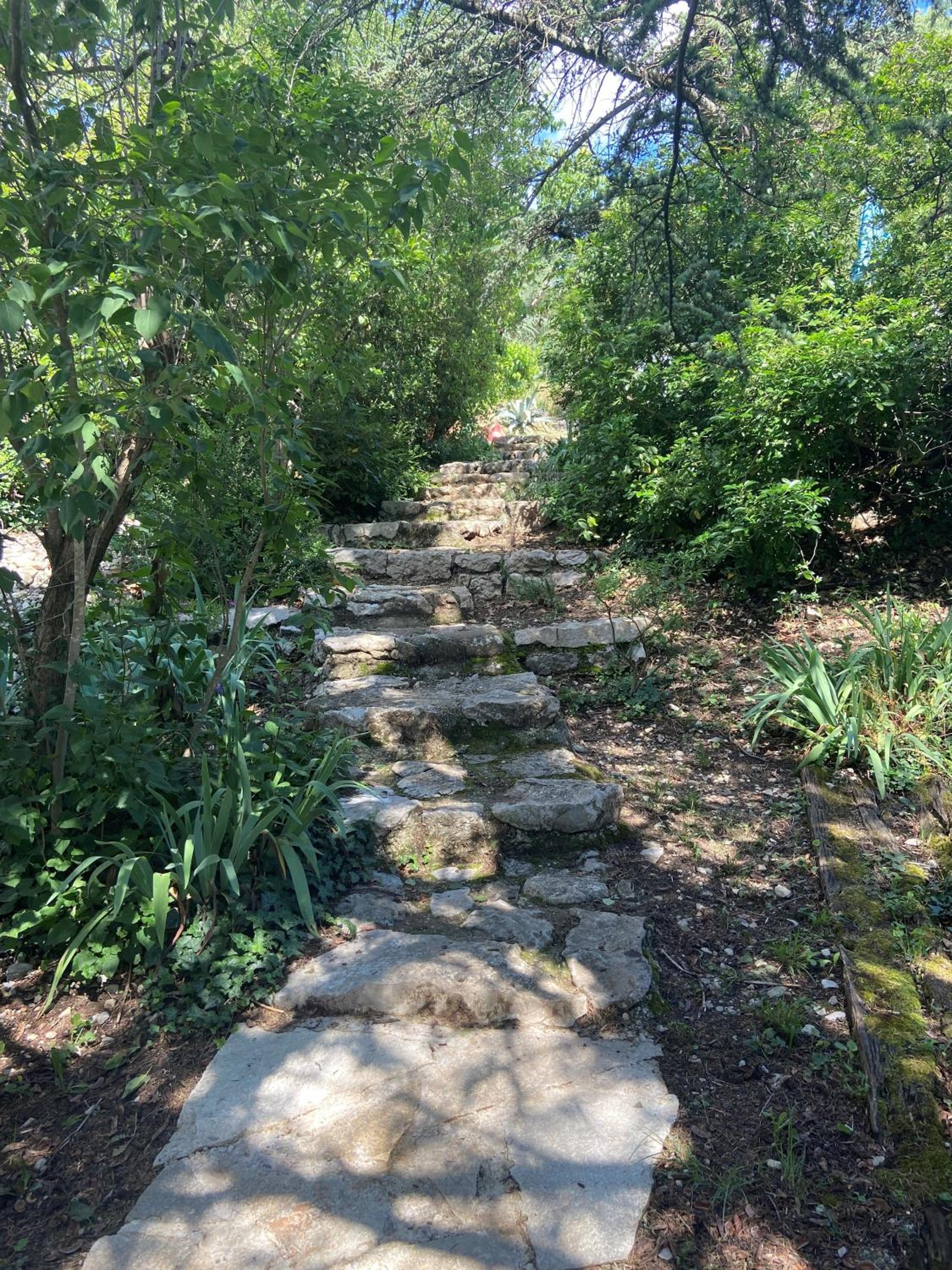 Photo 19