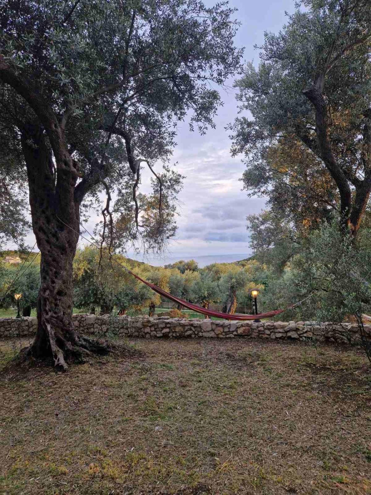 Photo 91