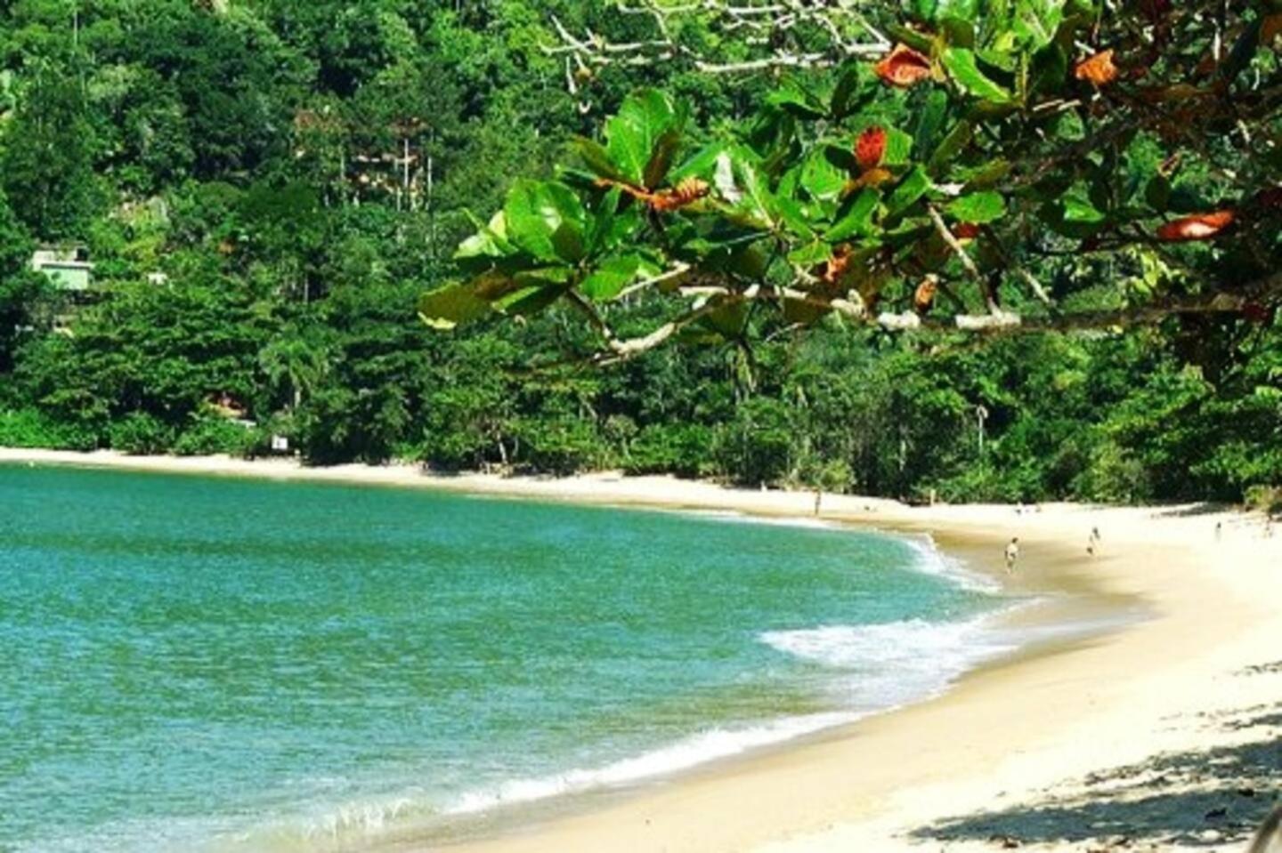Praia Vermelha do Sul - um pedaço do paraíso