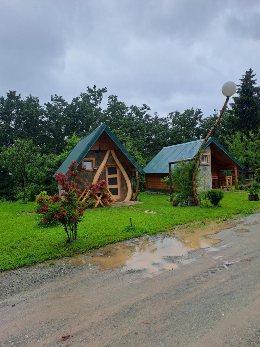 Gazela Bungalov 1 photo 5