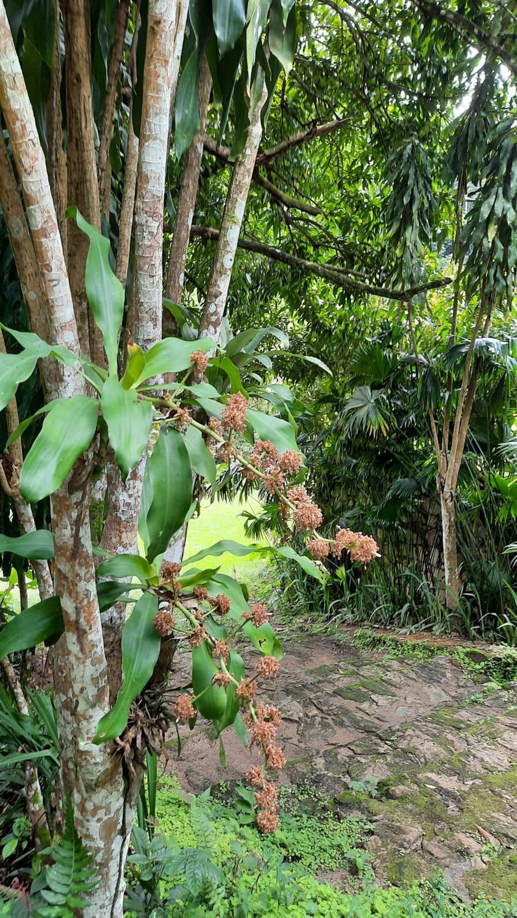 Sitio Alto da Montanha - você em paz com a natureza