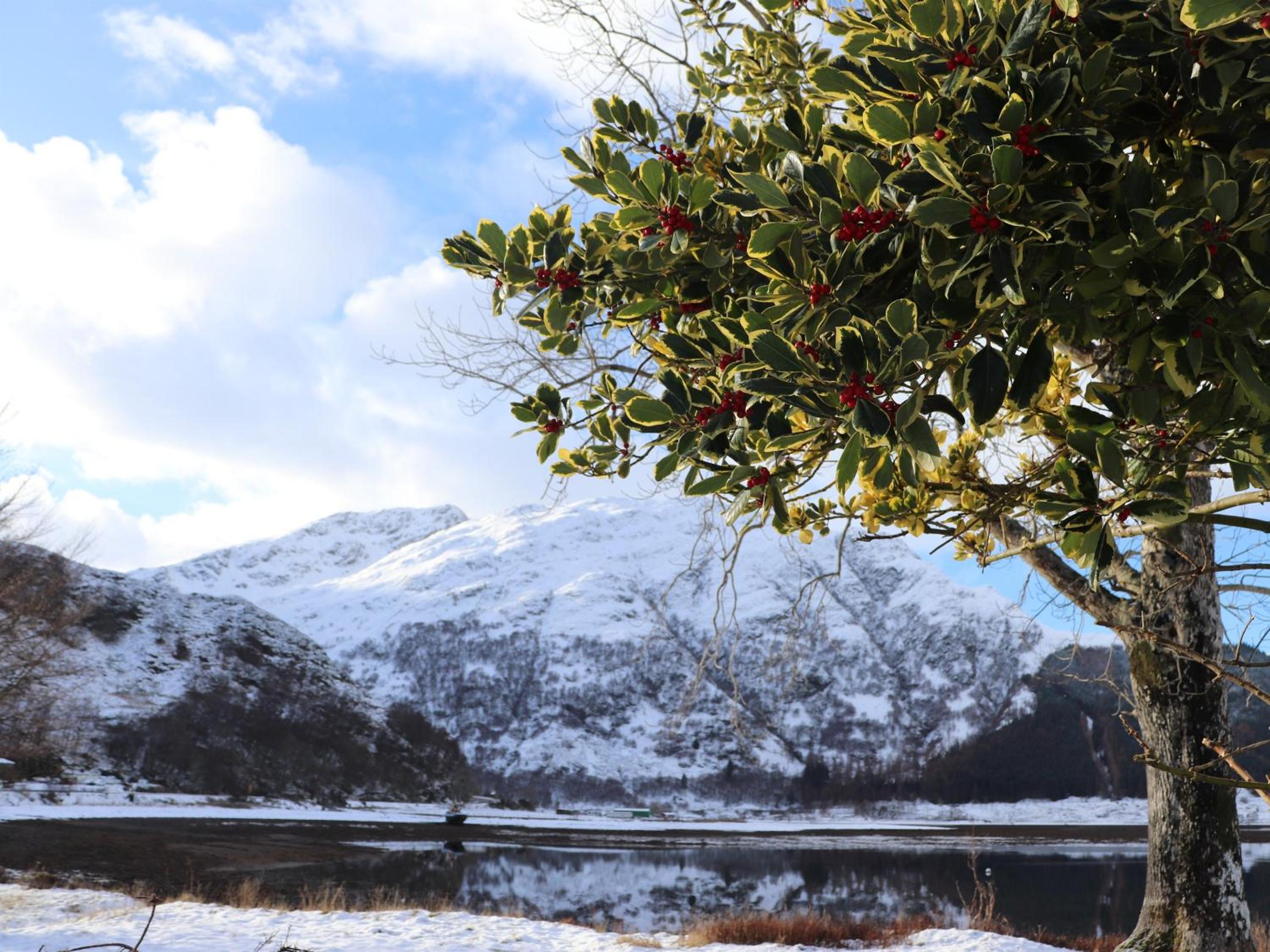 Kintail Lodge Hotel 12