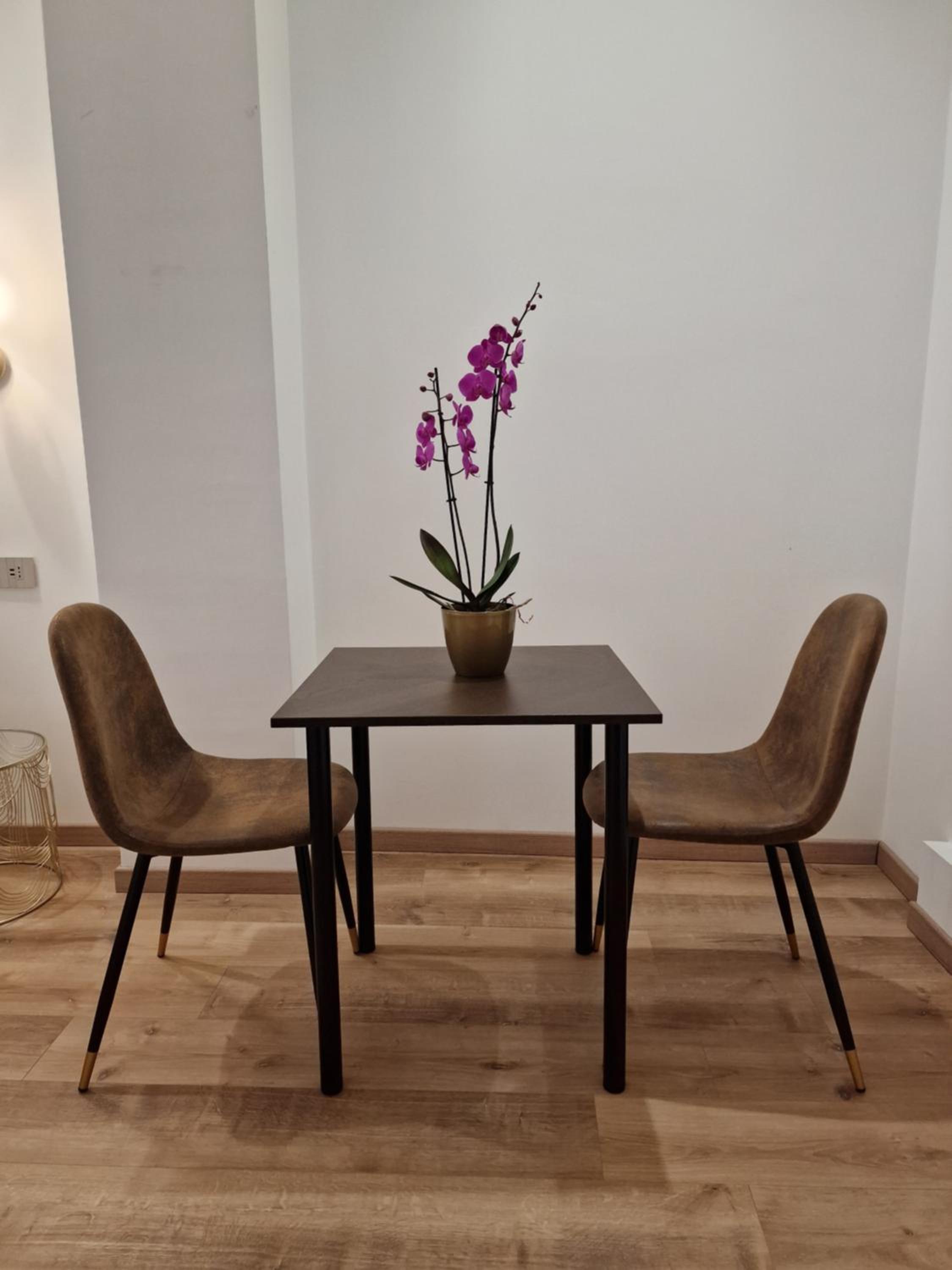 Cuma Suites