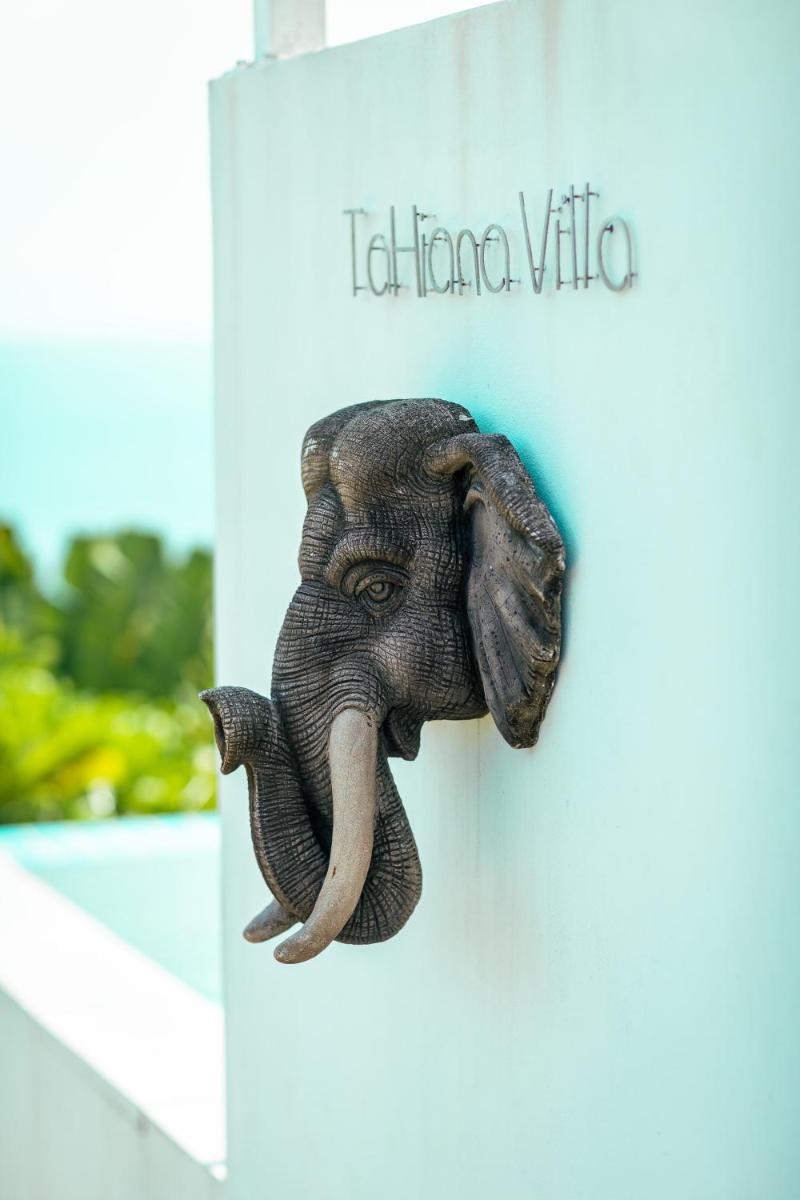 Tahiana Villa — photo 3