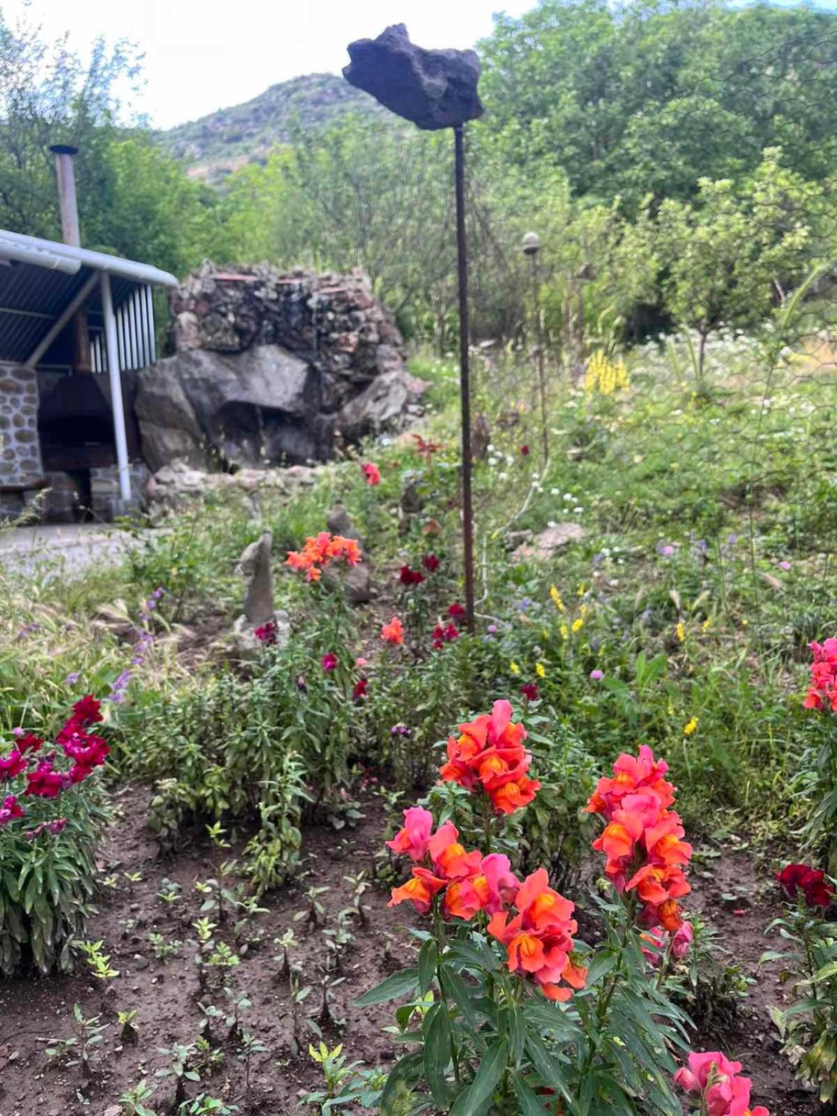 Hotel Halidzor