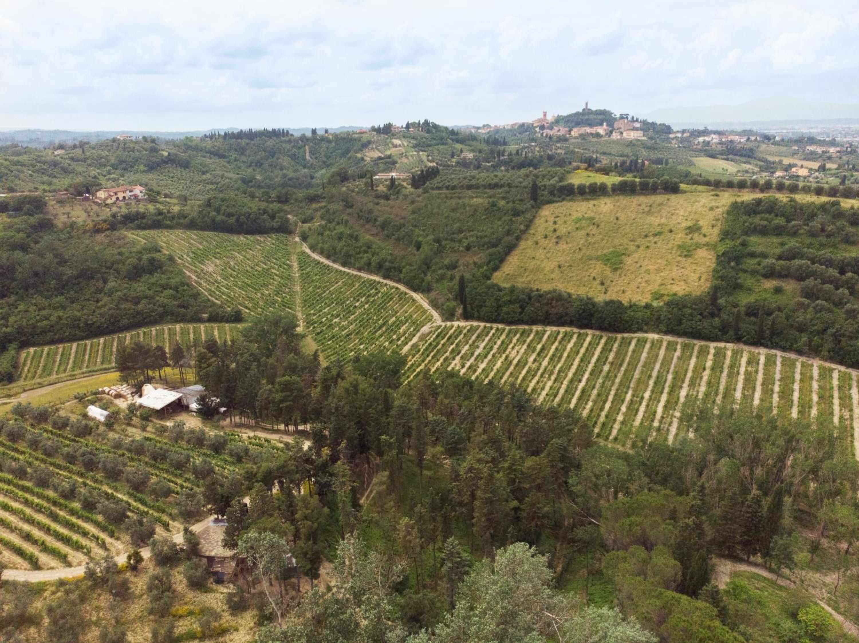 Casale il Fontanellino - country house near Florence
