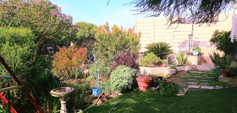 Revive Guesthouse view 5