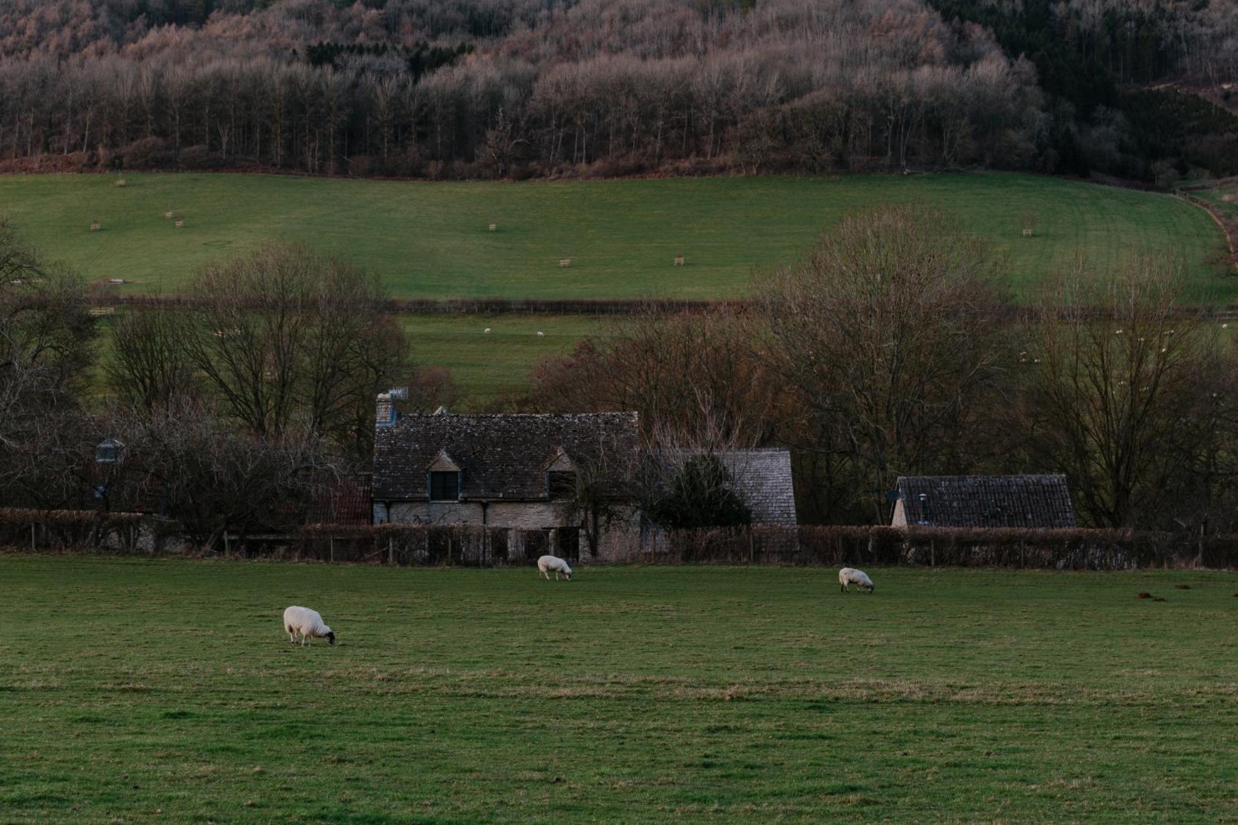 The Cotswold Farm Hideaway view 3