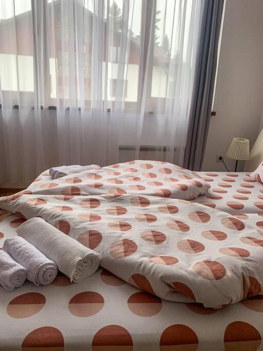 Cozy Rila Park Apartments