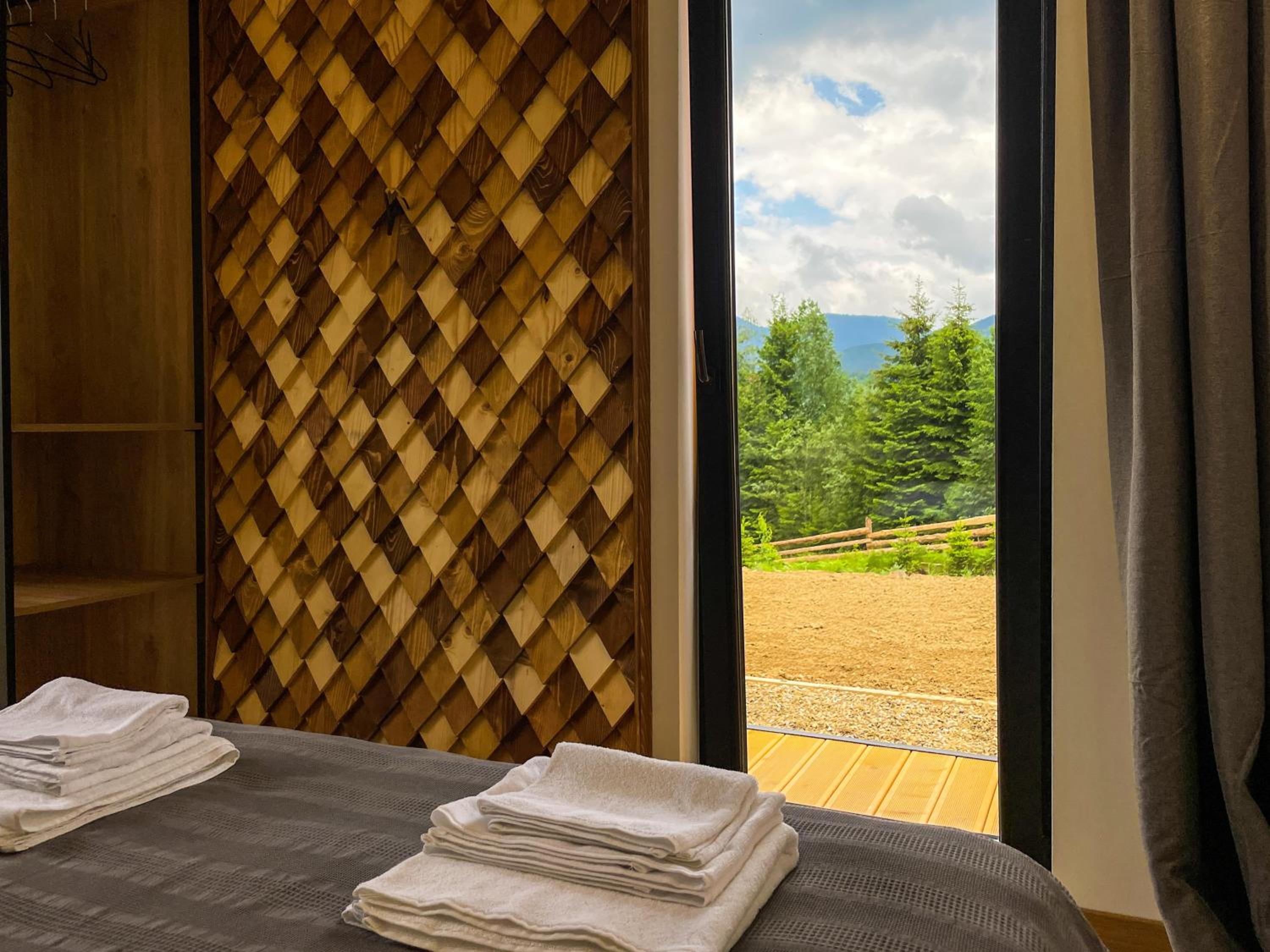 Carpathians View