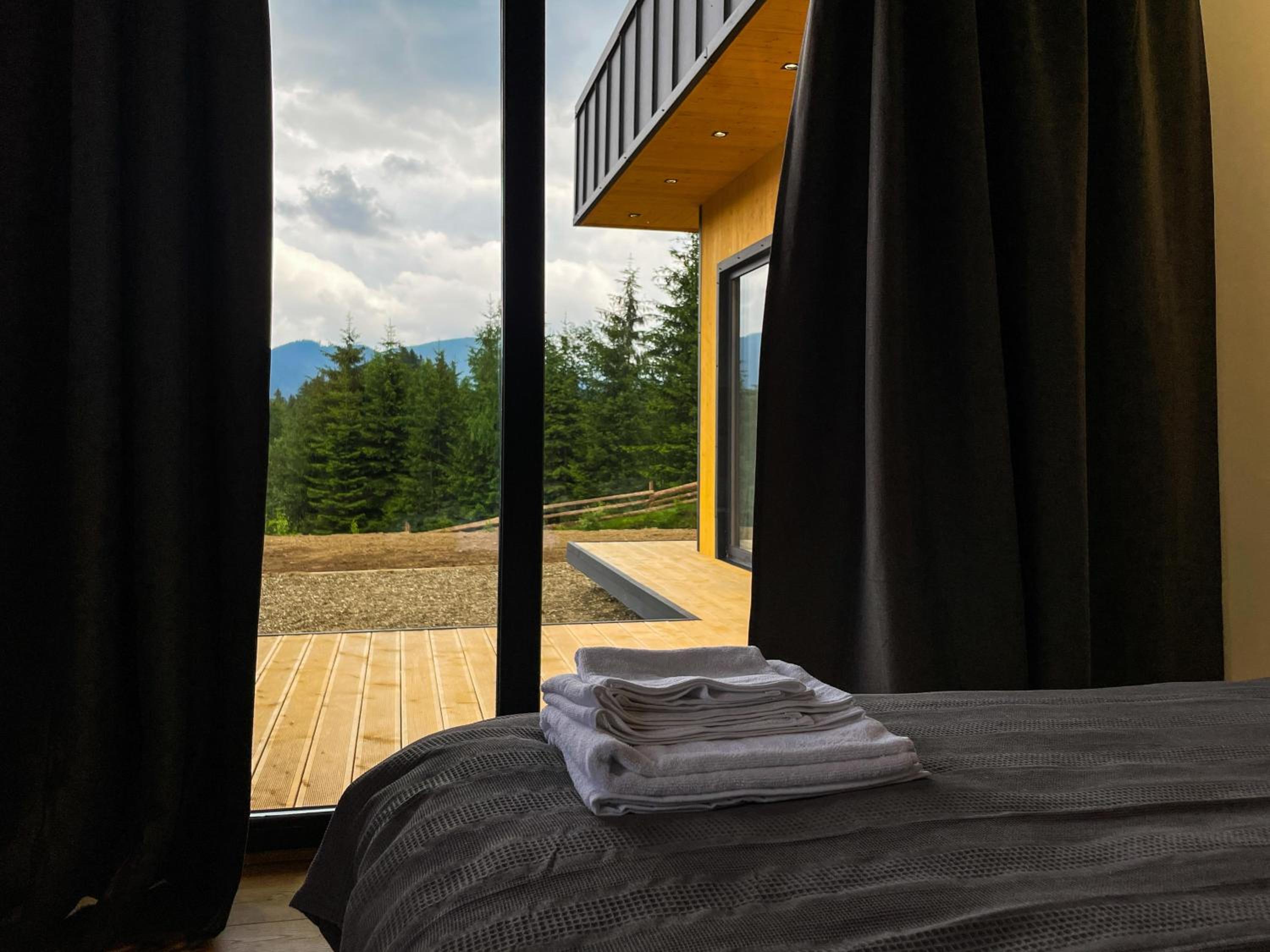 Carpathians View