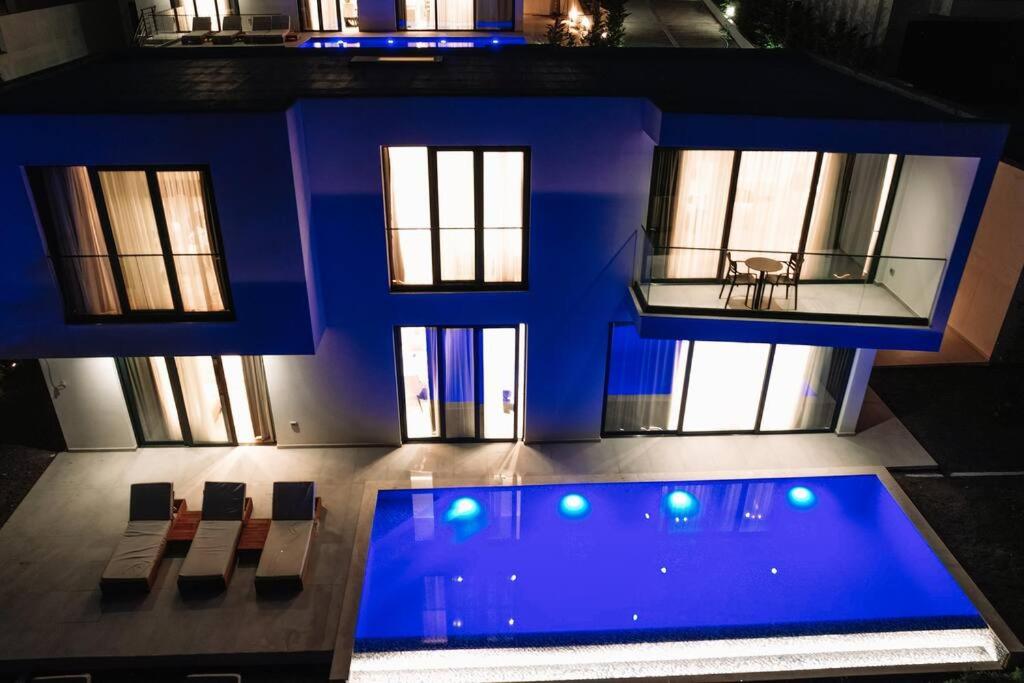 Palmera VIP Vila