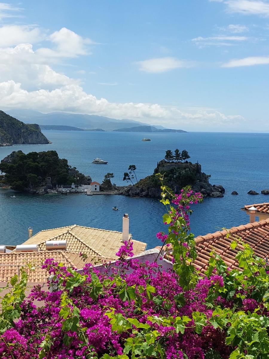 Marthas Studios photo 5