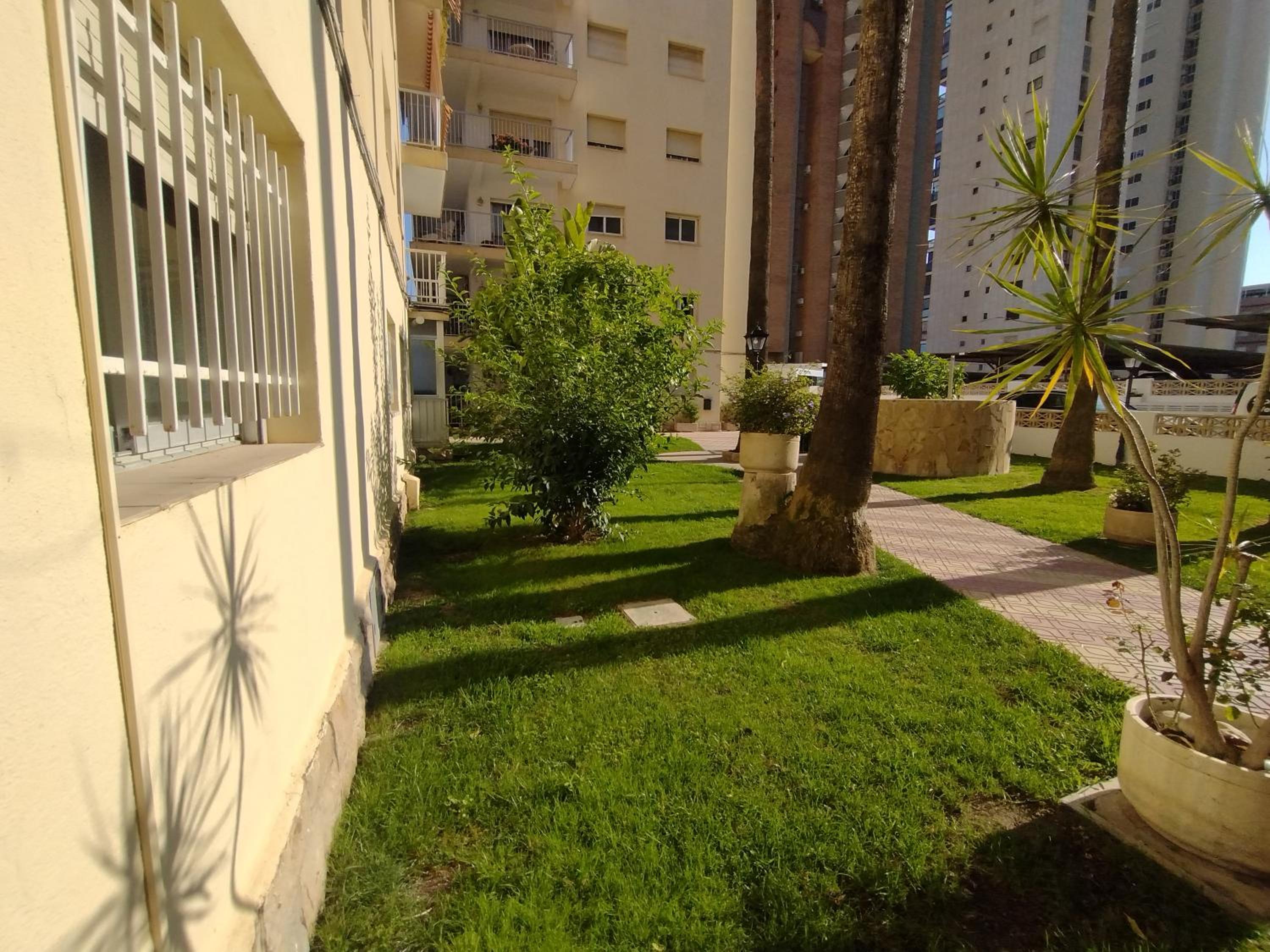 Living Benidorm. Playa Levante