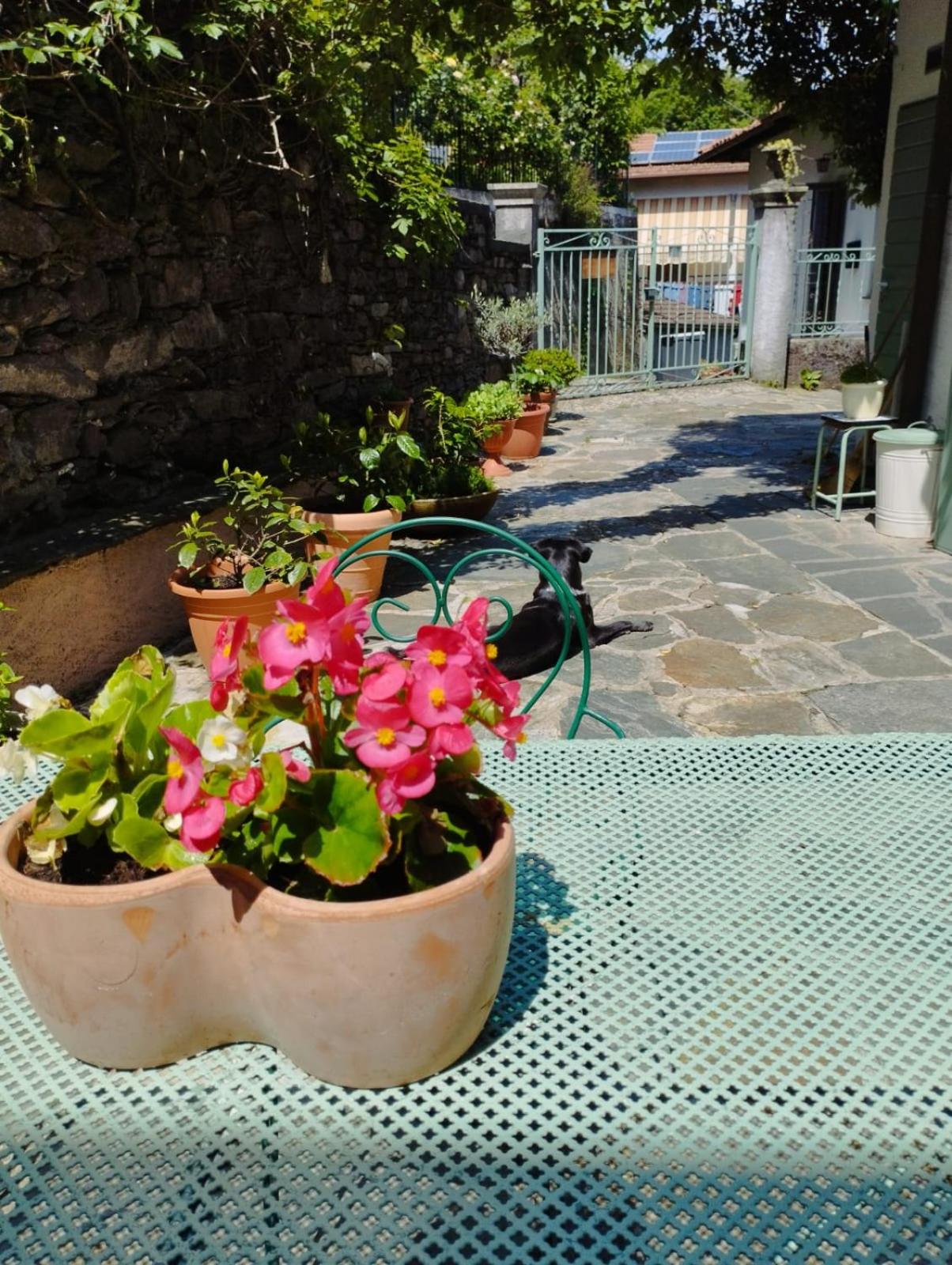 B&B Il Poggiolo