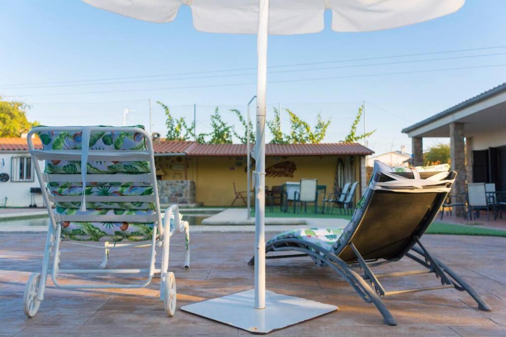 Casa Rural El Zarzoso TR-CC-00562