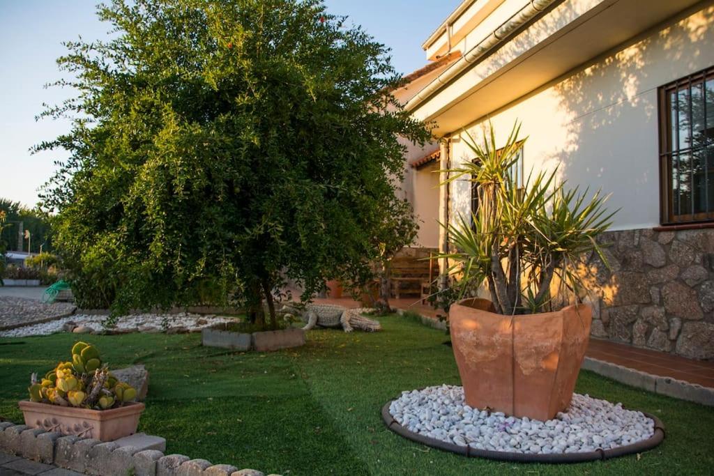 Casa Rural El Zarzoso TR-CC-00562
