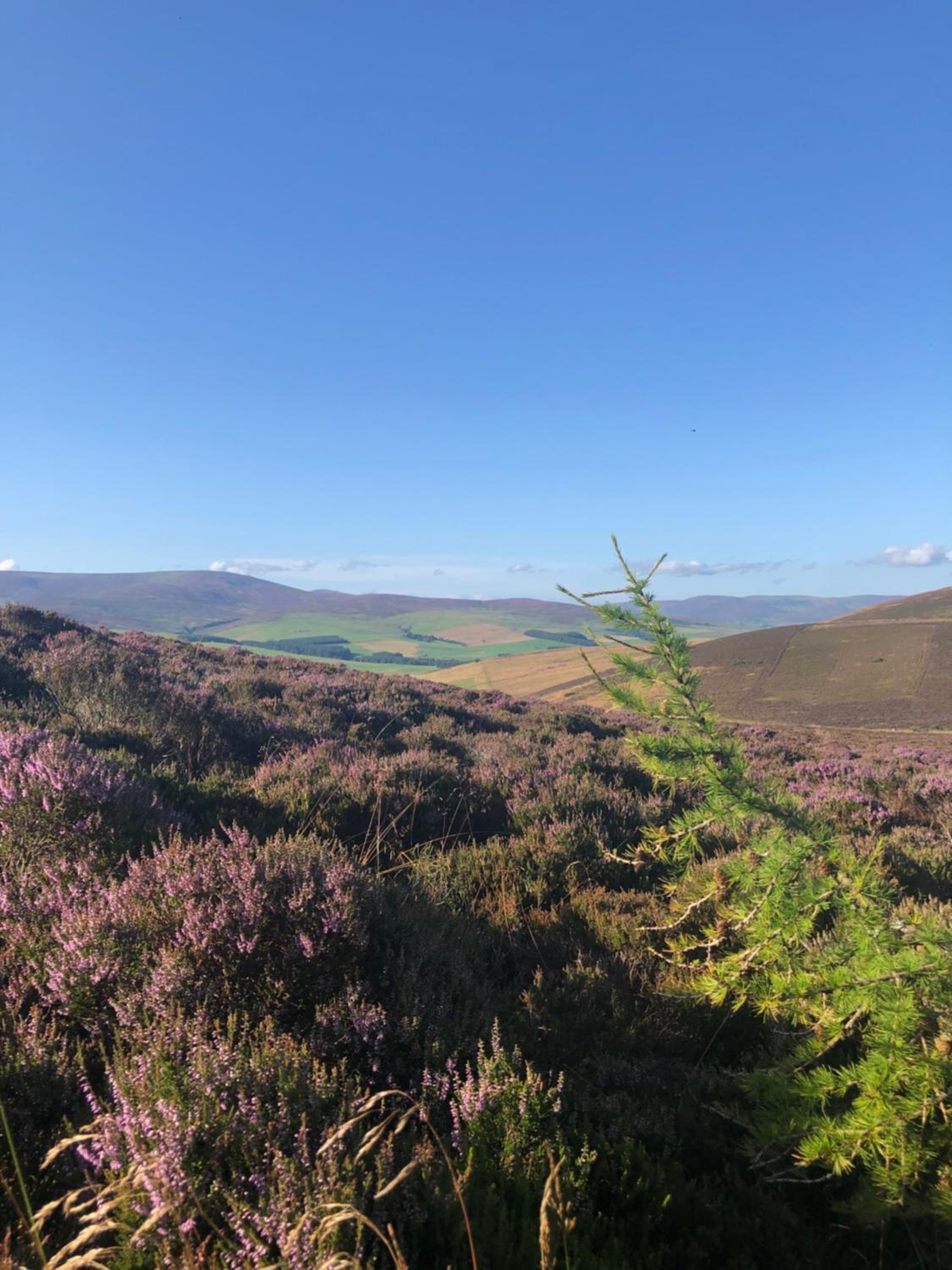 Oakbank - Comfort in the Glens!
