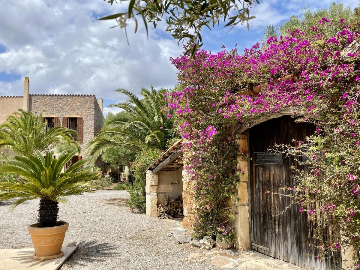 Finca S'olivar d'es Coscois