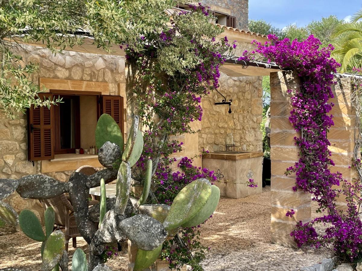 Finca S'olivar d'es Coscois