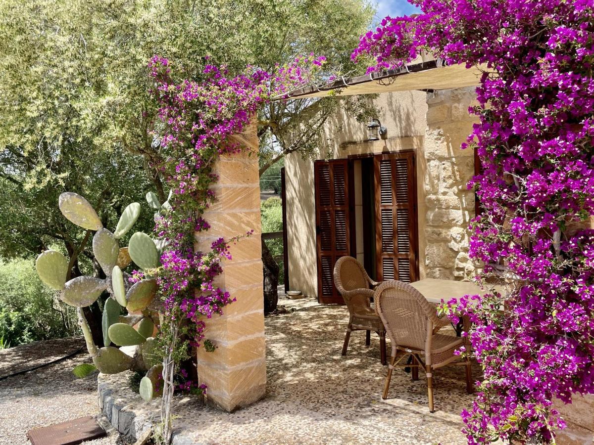 Finca S'olivar d'es Coscois
