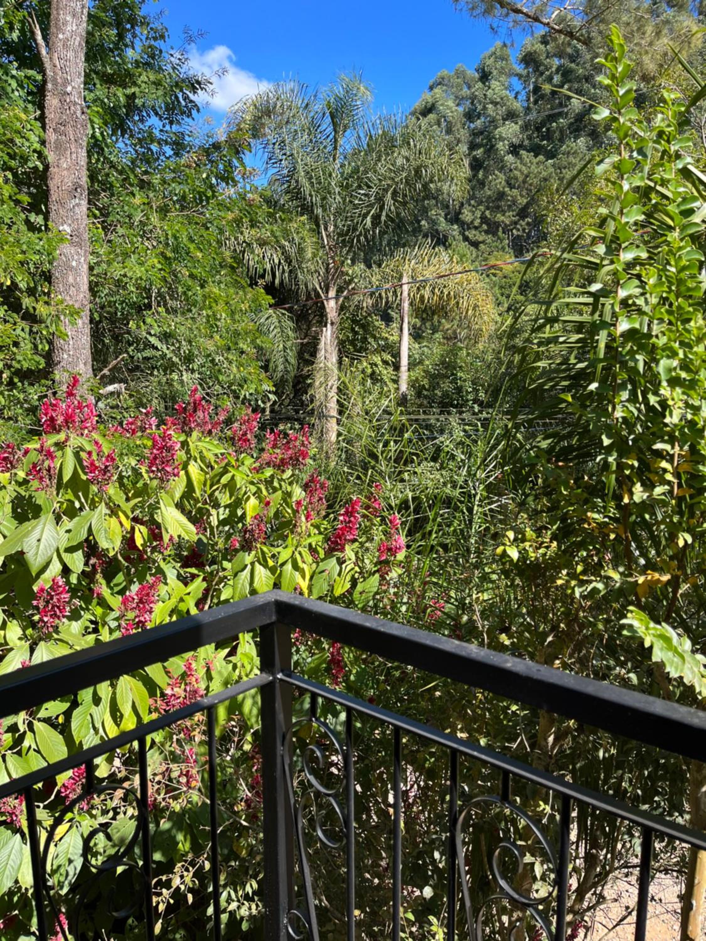 Vila Adega Maravilha