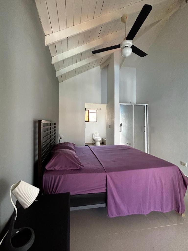 Casa MIA