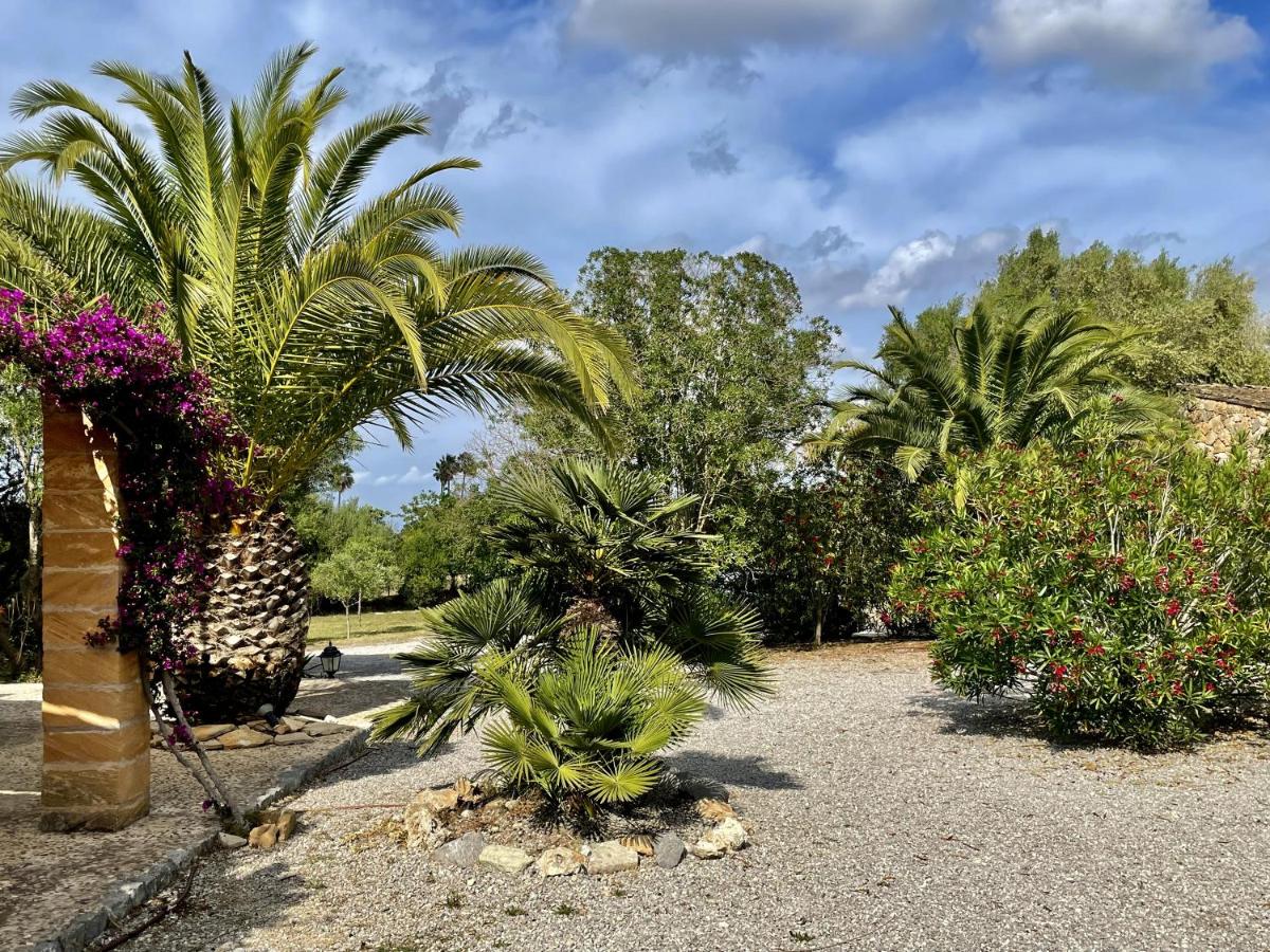 Finca S'olivar d'es Coscois
