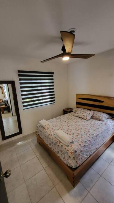 Ground Floor Apt, Close to Beach and Cenotes view 3