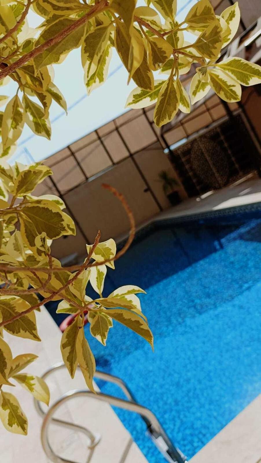 lacasa chalet private With a panoramic view of the DeadSea