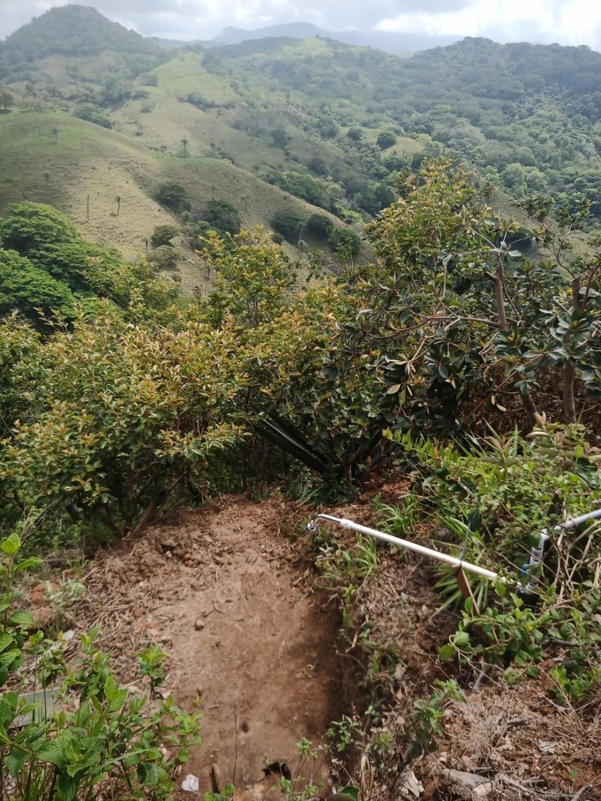 Sustainable, Off-Grid and Organic Cabins on a Farm in a Secluded Cloud Forest, Ultra Low Carbon Footprint, 4x4