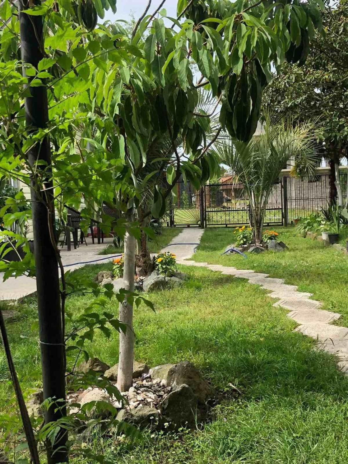 kaprovani home