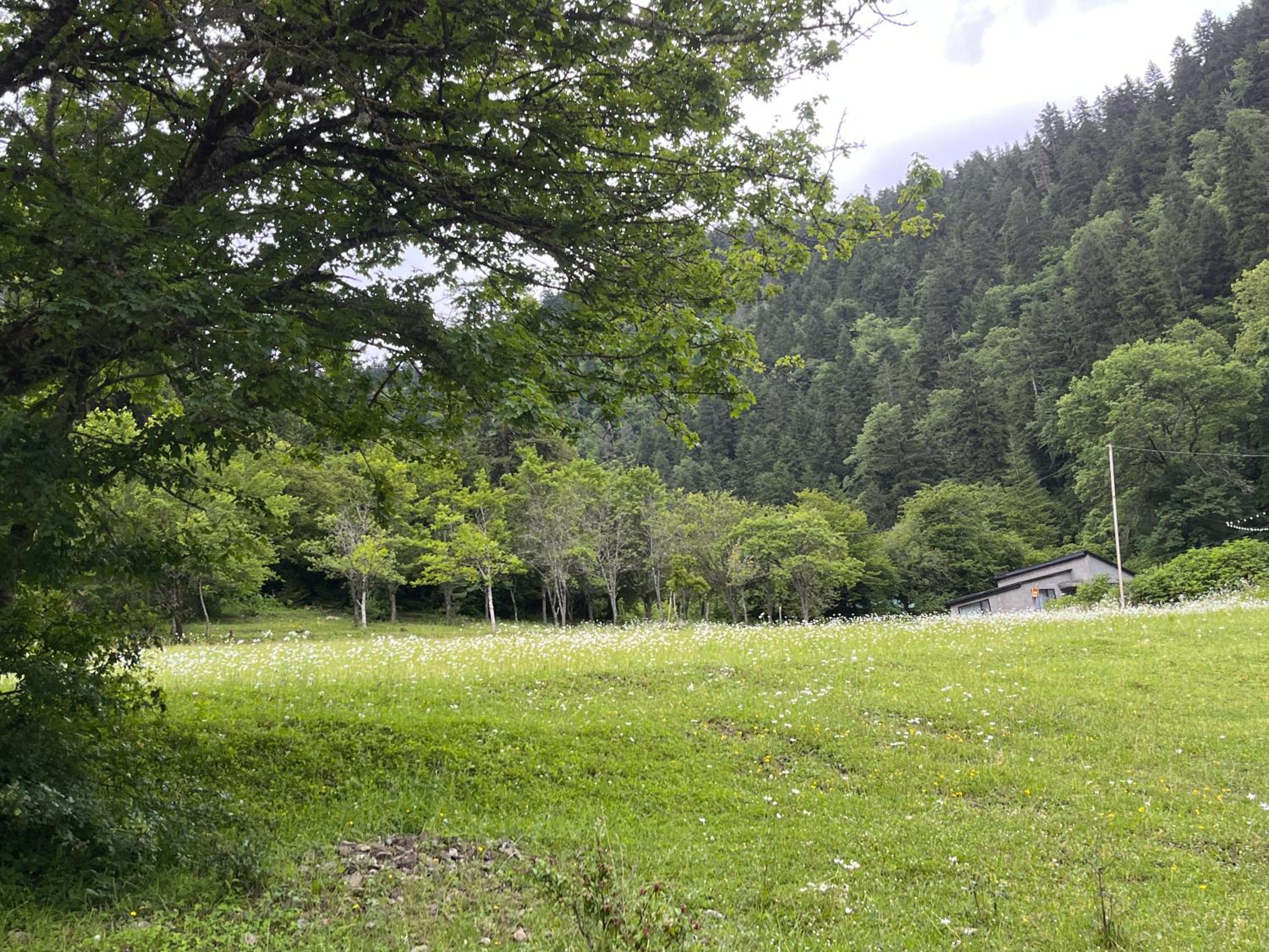 Photo 38