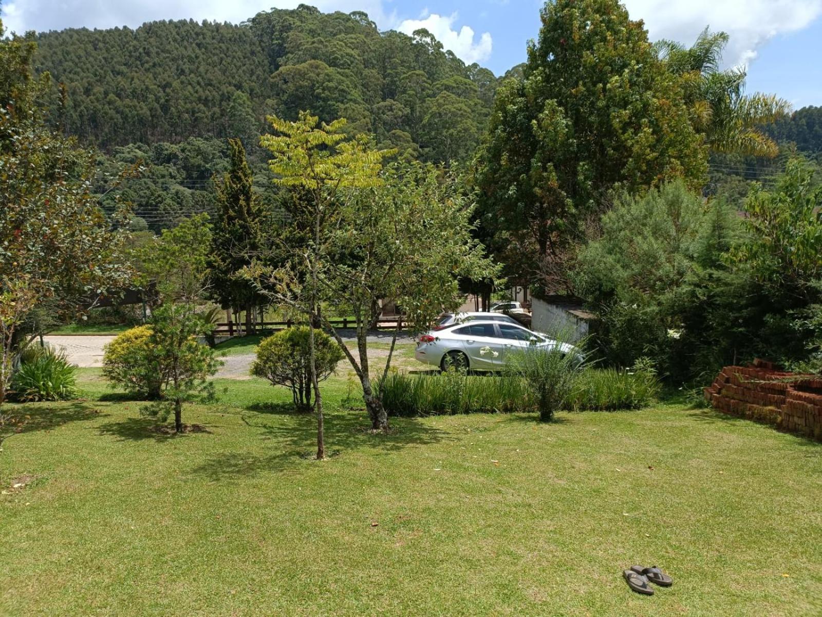 Photo 40