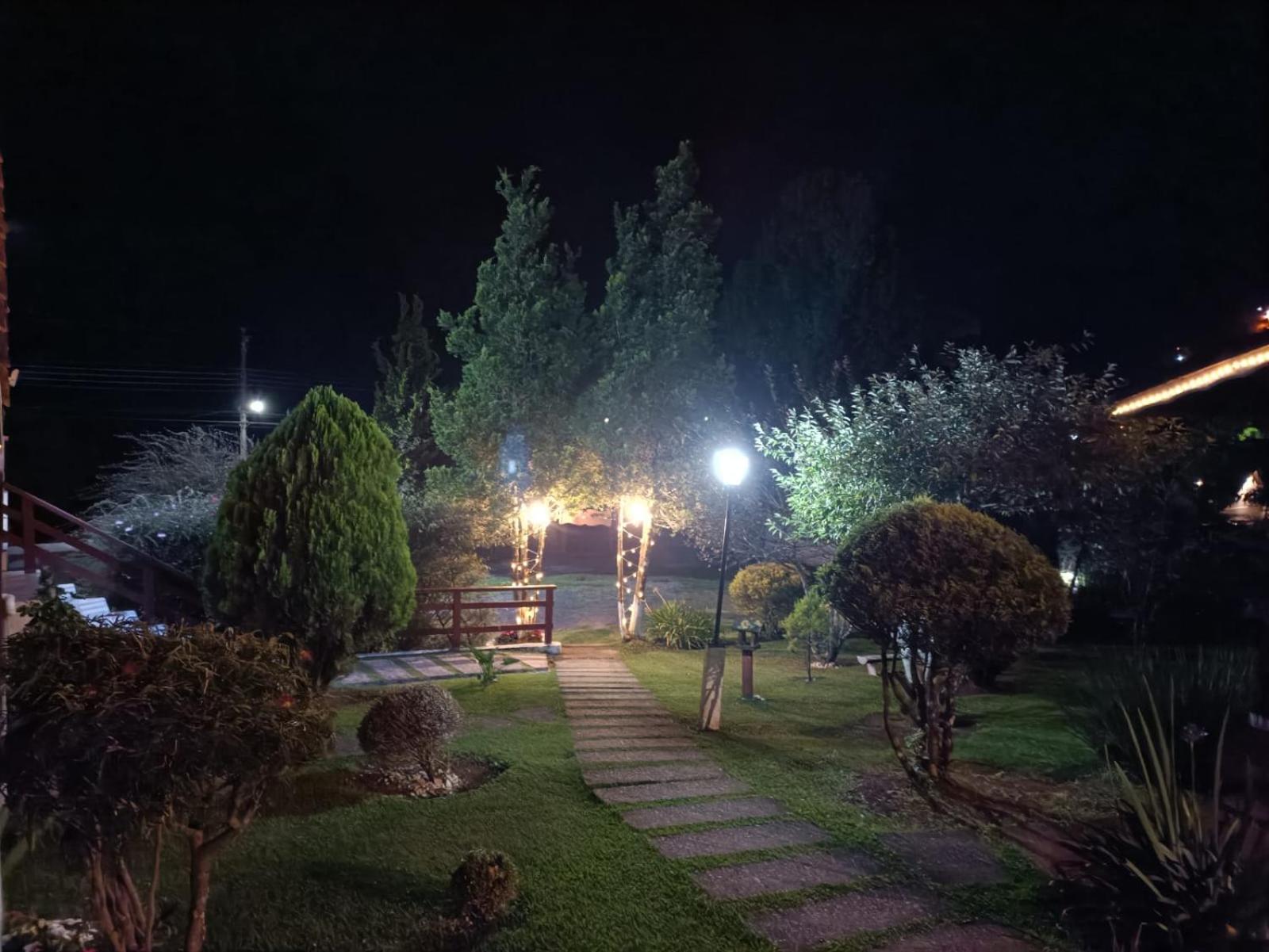 Photo 46