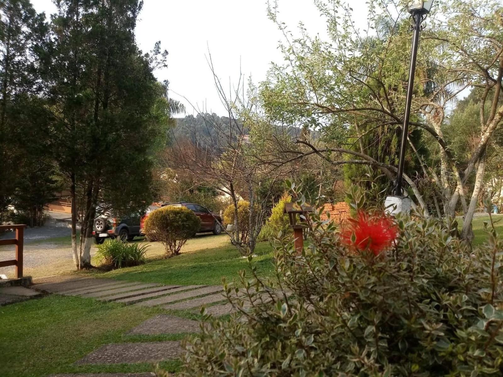 Photo 48