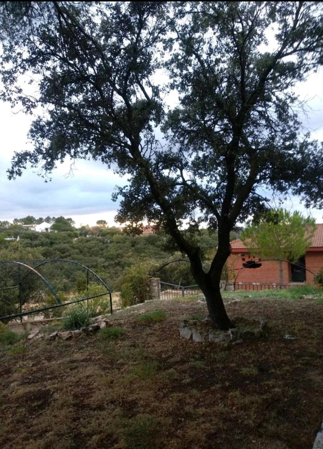 Increíble Casa Rural en la Sierra de Altomira Piscina privada y Barbacoa
